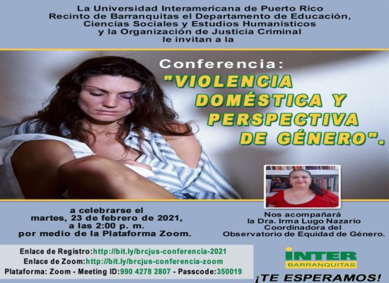 Conferencia: Violencia Doméstica y Perspectiva de Género